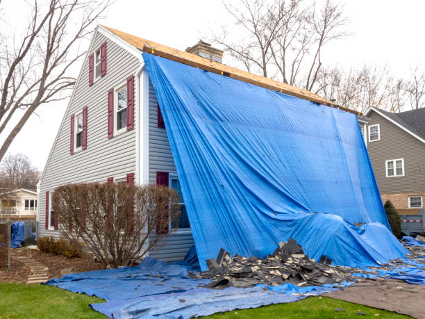 Best Fiber Cement Siding Installation  in Ammon, ID